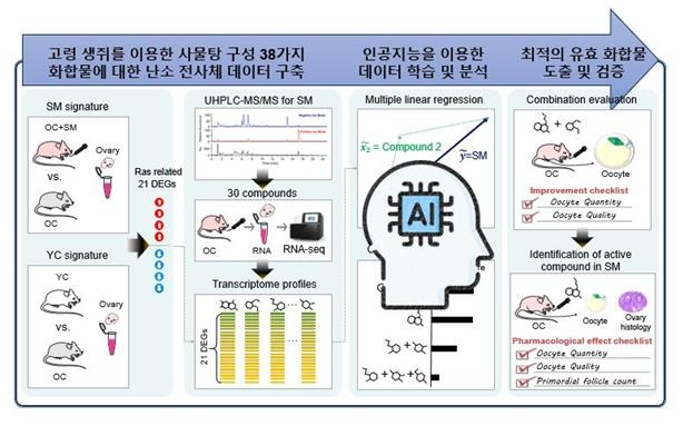 연구 모식도(한국한의학연구원 제공)