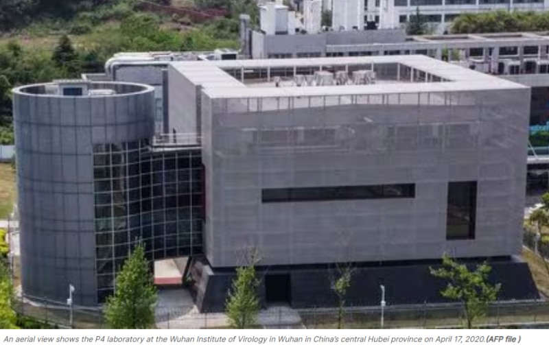 (상보) 中연구진, 인간에 전염가능 '신종 박쥐 코로나' 발견 - SCMP