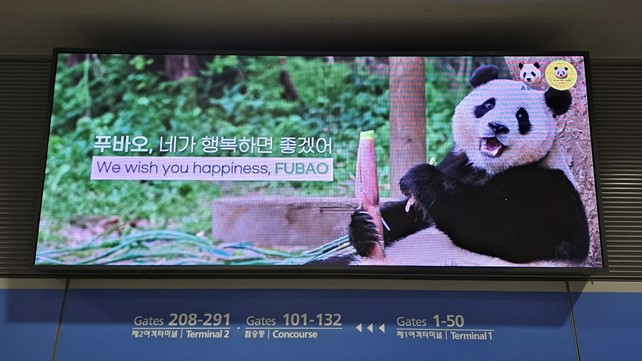 푸_키퍼팀에서 인천공항에 집행한 광고/사진제공=푸_키퍼팀