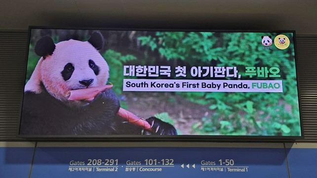 푸_키퍼팀에서 인천공항에 집행한 광고/사진제공=푸_키퍼팀