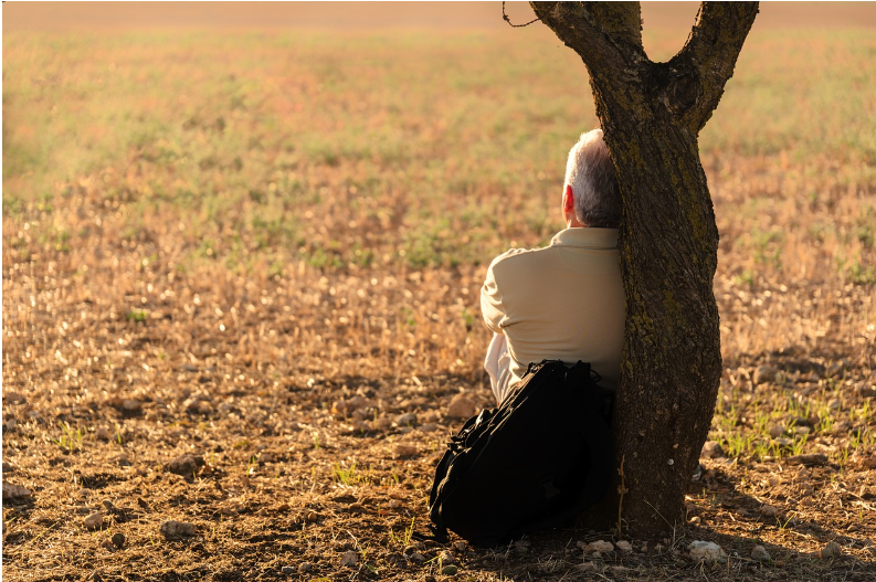 (픽사베이 제공)