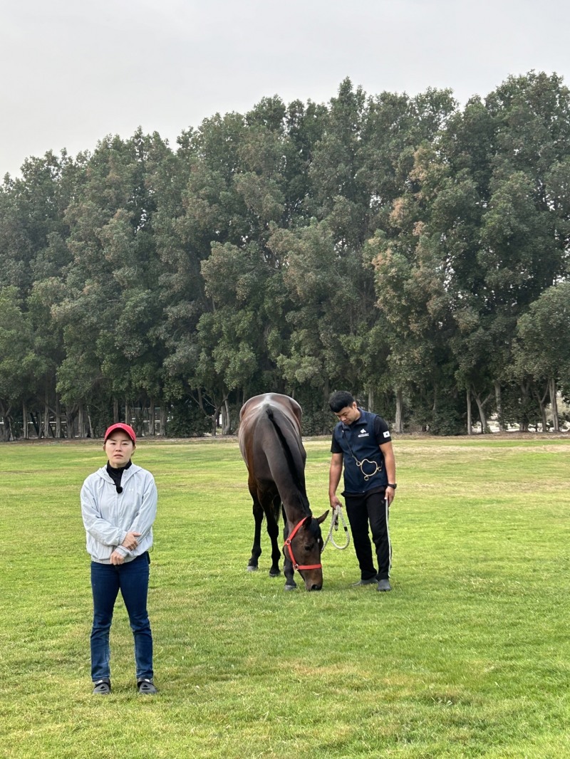 훈련 후 휴식 취하는 글로벌히트와 인터뷰 응하는 김혜선 기수