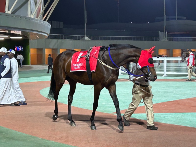 7번 글로벌히트(출발게이트는 4번)