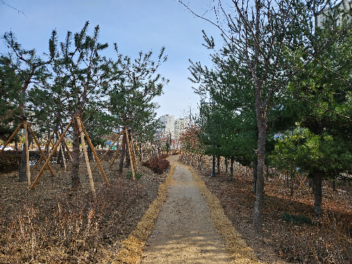 인천 미추홀구 인하대역 인근에 약 2ha 규모의 ‘기후 대응 도시 숲’모습