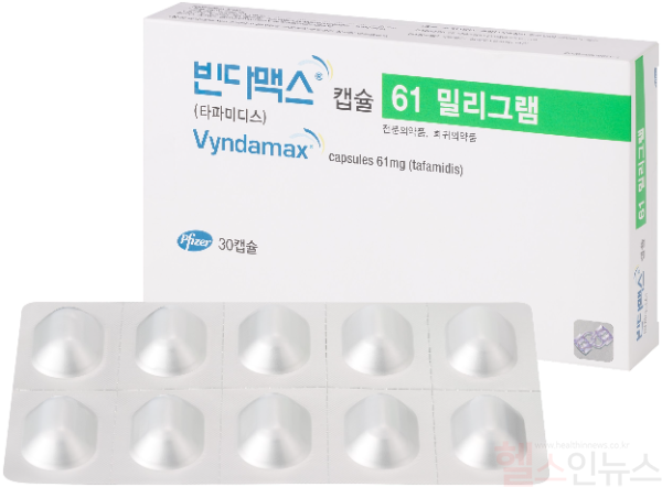 빈다맥스 제품사진 (한국화이자제약 제공)