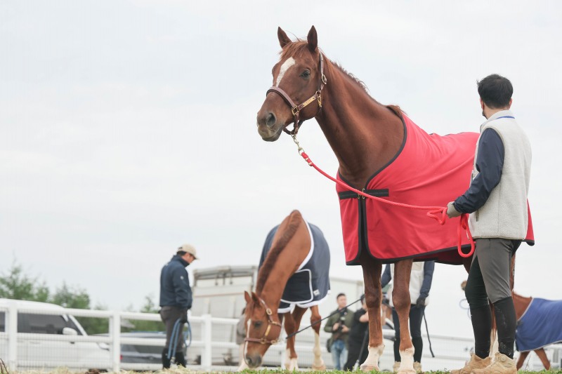 24년 명예경주마 입소행사 및 복지지금 전달식