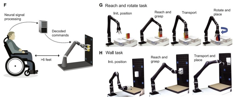 인공지능(AI) 기반 뇌-컴퓨터 인터페이스를 이용한 마비 환자의 로봇팔 제어 과정(연합 제공)