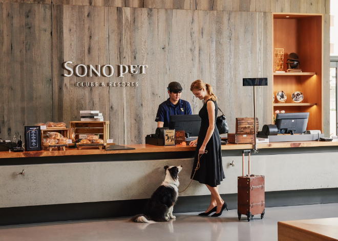 ⓒ소노인터내셔널