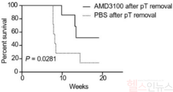 마우스 모델에서 신경줄기세포의 재발암 발생 과정을 차단한 결과, 대조군(점선)과 비교해 치료군(실선)의 생존율이 60-70% 향상됨 (서울대병원 제공)