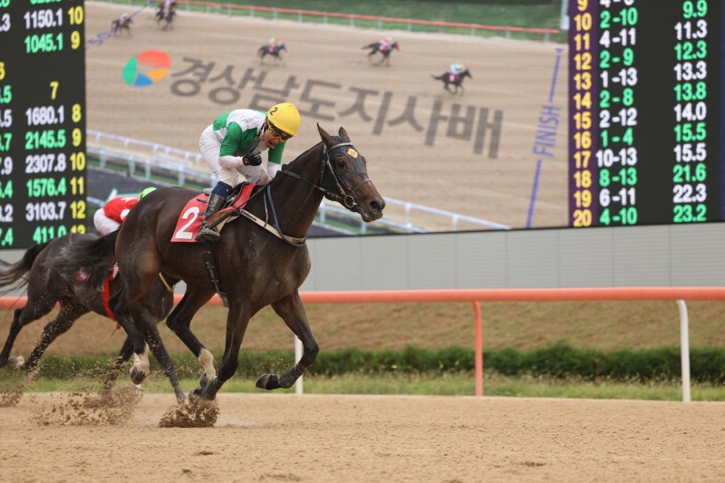 강자 대거 출동! 렛츠런파크 서울 3월 16일 제23회 ‘헤럴드경제배’ 개최