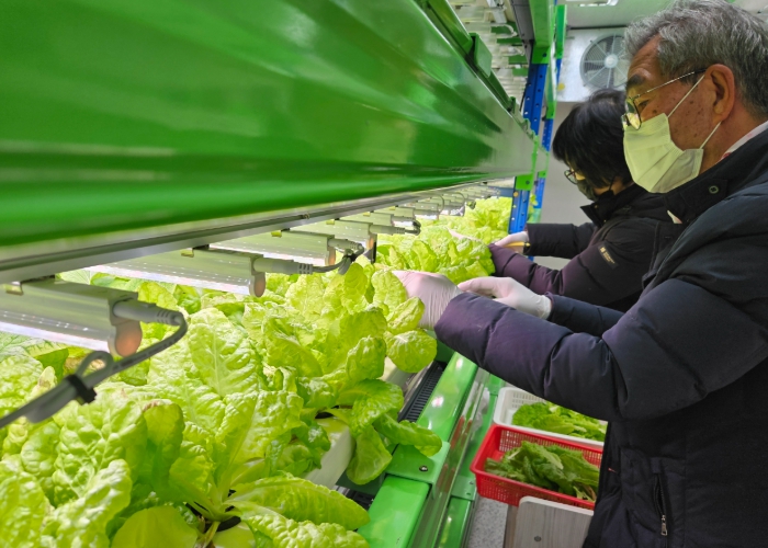 창원특례시가 올해 역대 최대 규모인 16,397개의 노인일자리를 창출한다. 이는 전년 대비 1,285개 증가한 수치로, 전국 기초지자체 중 가장 많은 규모다. (창원시 제공)