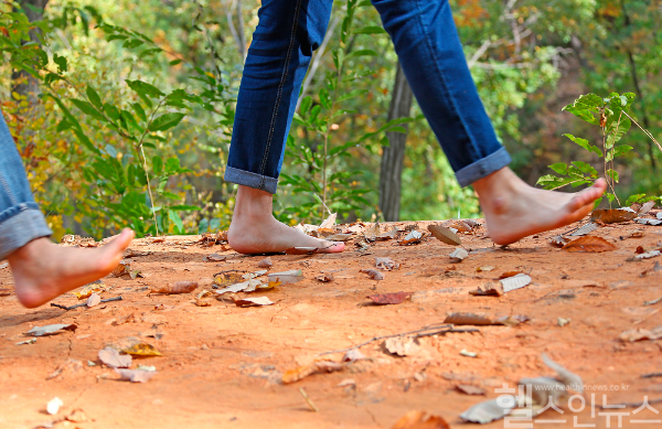 신중년세대 사이에서 새로운 여가 트렌드로 떠오르고 있는 맨발 걷기. 단, 맨발로 걷는 것은 발 건강에 악영향을 미칠 수 있어 각별한 주의가 요구된다. (클립아트코리아)