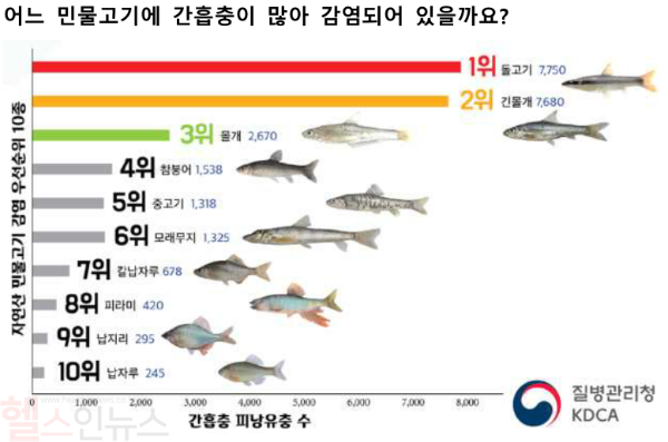 간흡충 감염 위험 자연산 민물고기 (질병관리청 제공)
