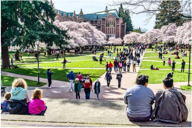 지난주 컬럼비아대와 존스홉킨스 대학에 대한 연방지원금 취소 영향으로 미국전역에서 대학들이 고용과 지출을 동결하는 등 몸살을 앓고 있다. 사진=영국고등교육닷컴