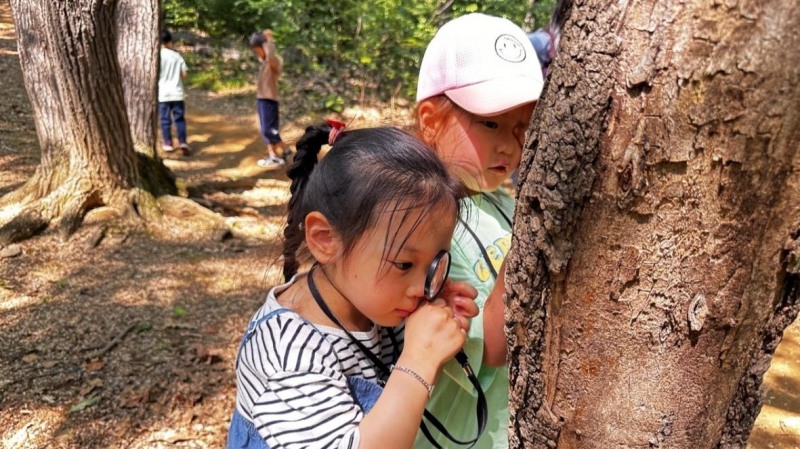 관악수목원 산림체험 프로그램