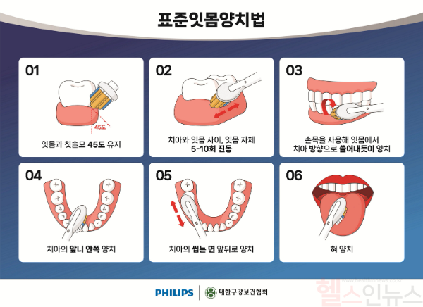 잇몸 중심으로 양치하는 표준잇몸양치법 (필립스 제공)