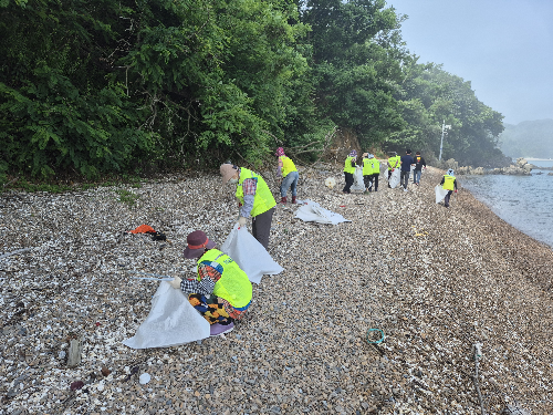 지난해 옹진군 해안가 정화활동 모습