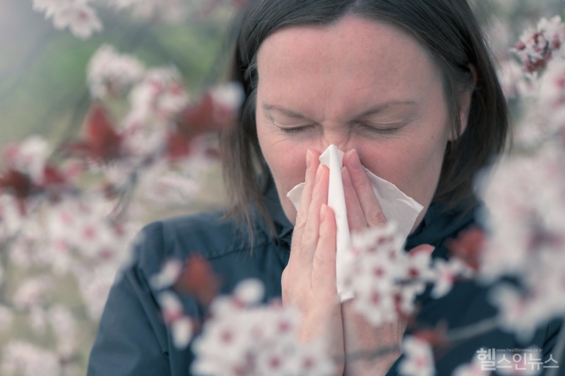 알레르기 비염은 급성으로 나타날 수 있으며 초기에 제대로 치료하지 않으면 부비동염, 중이염, 천식 악화 등 다양한 합병증으로 이어질 수 있다. 따라서 증상이 시작될 때부터 적극적인 관리가 필요하다. (클립아트코리아)