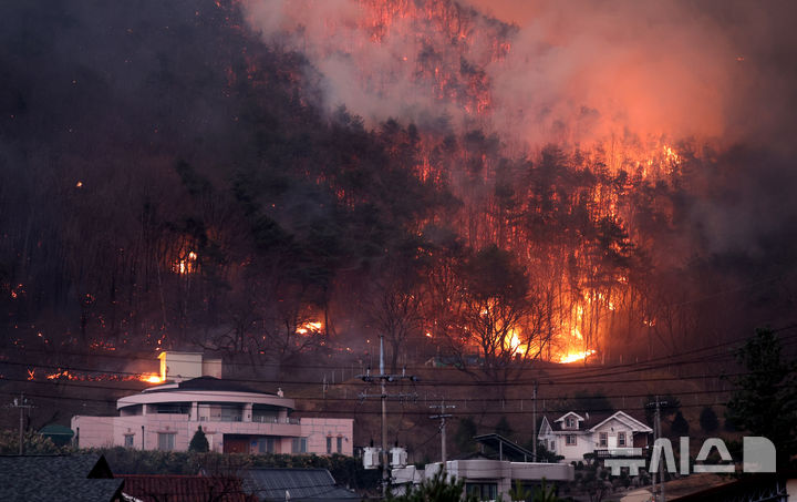 경북 의성군 산불 발생 나흘째인 25일 산불이 안동시 남후면 광음리 마을 인근까지 번지고 있다./뉴시스