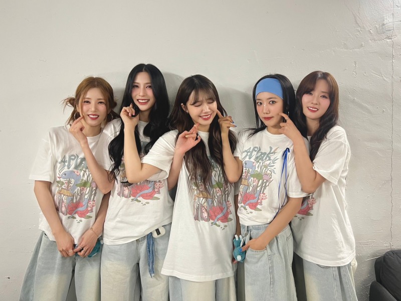 에이핑크, 내달 19일 1년 만에 완전체 신곡 발표…팬들 위한 14주년 선물