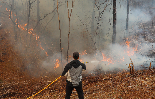 26일 경북 영양군 입암면 방전리 야산에서 입암면 의용소방대원이 산불 진화 작업을 벌이고 있다. ⓒ연합뉴스