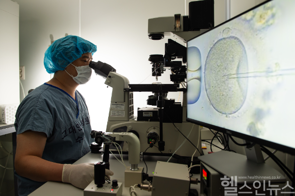 시험관아기시술을 위해 채취된 난자와 정자를 실험실에서 수정시키고 있다. (고대안산병원 제공)