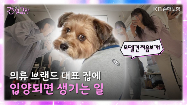 KB손해보험이 긍정적 반려문화 확산을 위해 제작한 펫보험 연계 콘텐츠 '견생2막'을 KB손해보험 공식 유튜브 채널을 통해 공개했다고 27일 밝혔다. ⓒ KB손해보험