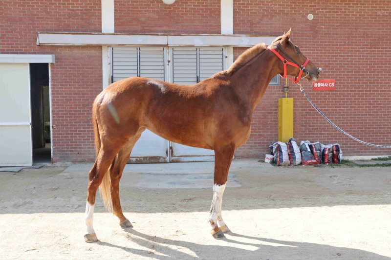 왕관의 주인공을 찾아라, 30일 제6회 루나스테이크스 개최