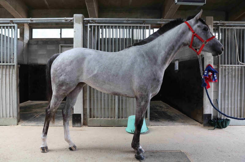 왕관의 주인공을 찾아라, 30일 제6회 루나스테이크스 개최
