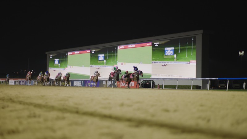 김혜선기수가 출전한 알 막툼 클래식 경주장면