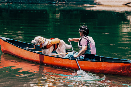 반려동물 동반 복합문화공간 소노펫클럽앤리조트 비발디파크는 '소노펫 카누투어 패키지'를 새롭게 선보인다. (대명소노그룹 제공)