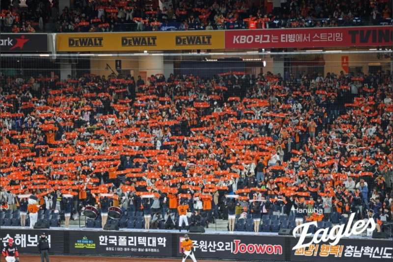 응원하는 한화 팬들