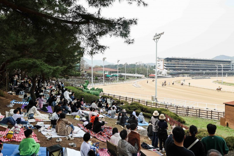 2024년 렛츠런파크 서울벚꽃축제 모습_주간