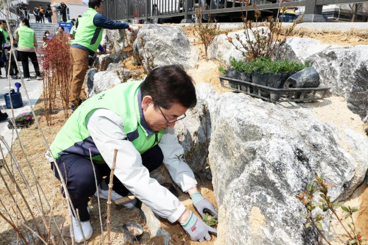 충북교육청 교직원들, 25년 3월 개교 학교에 꽃잔디, 무궁화 식재(솔미초)