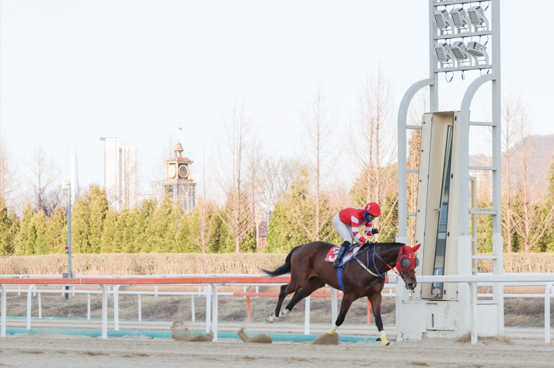 25년3월29일 제9경주 문세영 기수 2000승 장면