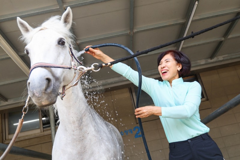 힐링승마_말을 씻기고 있다