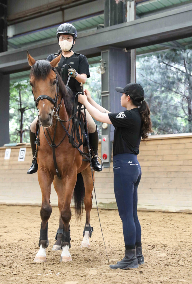 힐링승마_승마강습을 받고있다