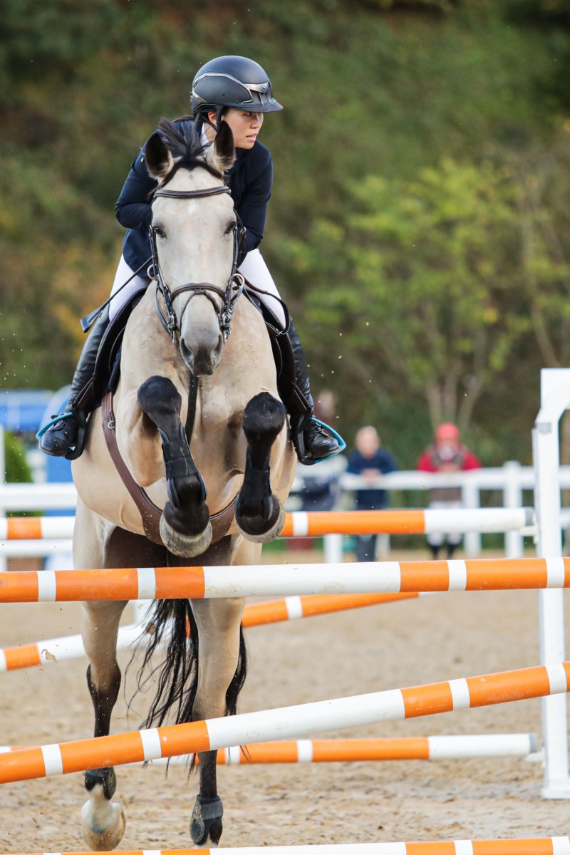 승마지도사_승마대회