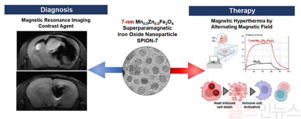 7nm 망간-아연-산화철 자성 나노물질의 조영제로써 뇌암 진단 효과(좌측) 및 고온발열을 통한 치료효과(우측) (서울대병원 제공)