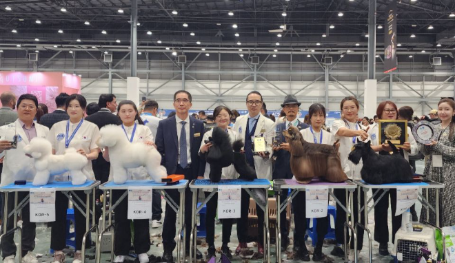 이지현 강사, 제2회 FCI 월드 그루밍 챔피언쉽 우승 및 푸들 부문 우승