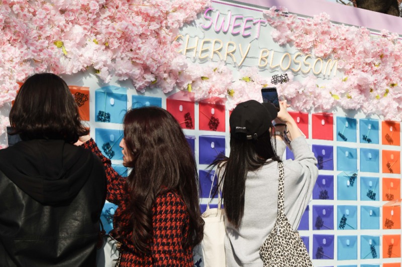 말과 벚꽃이 어우러진 특별한 봄을 경험하다! 렛츠런파크 서울 벚꽃축제 개막