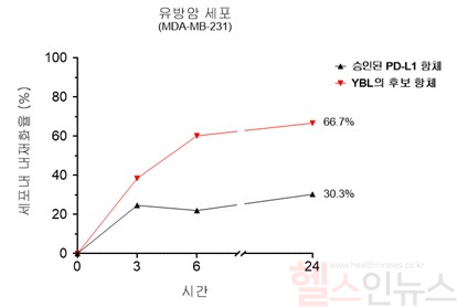 삼중음성 유방암 세포에서 와이바이오로직스의 후보 항체와 승인된 PD-L1 항체의 내재화율 비교 (와이바이오로직스 제공)