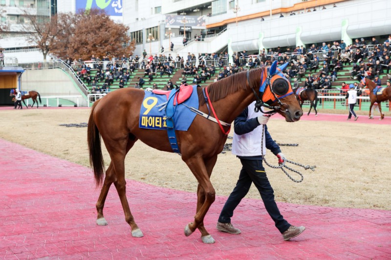 마이티고_19년11월23일 과천시장배