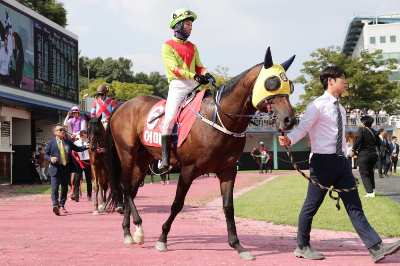 어마어마_24년9월8일 코리아스프린트