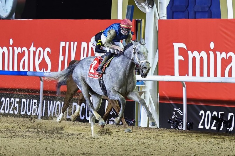 2025두바이월드컵 우승마 히트쇼_출처 Emirates news agency