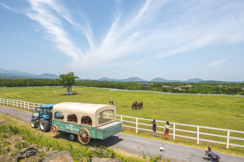 한국마사회 제주목장 새단장 완료! 말과 초지를 함께 만나는 힐링 공간
