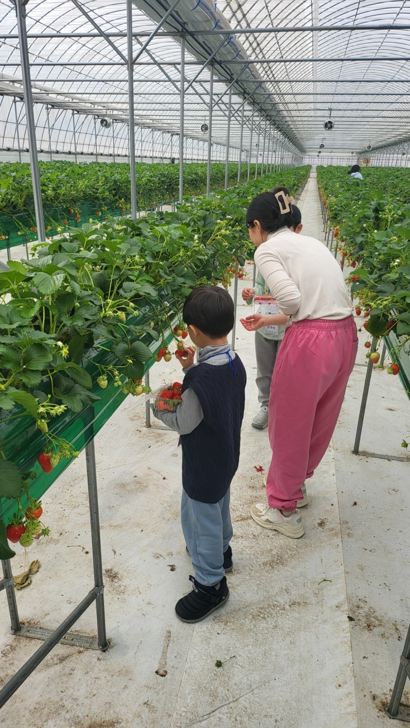 JT저축은행, 지역 미혼모 양육시설 새롱이새남이집과 함께하는 문화체험 실시