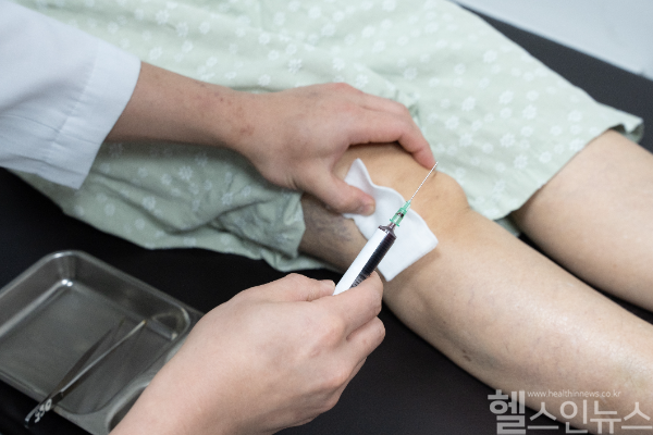 중기 무릎 관절염 환자에게 PRP 치료를 시행하고 있다. (연세사랑병원 제공)