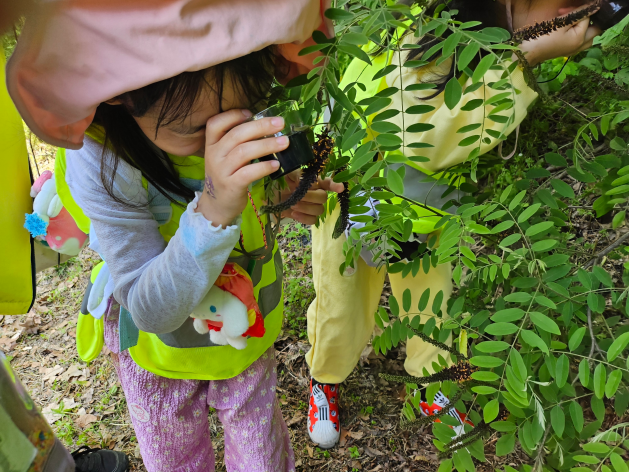 미사경정공원 숲 체험 교실에 참가한 어린이가 식물을 관찰하고 있다.