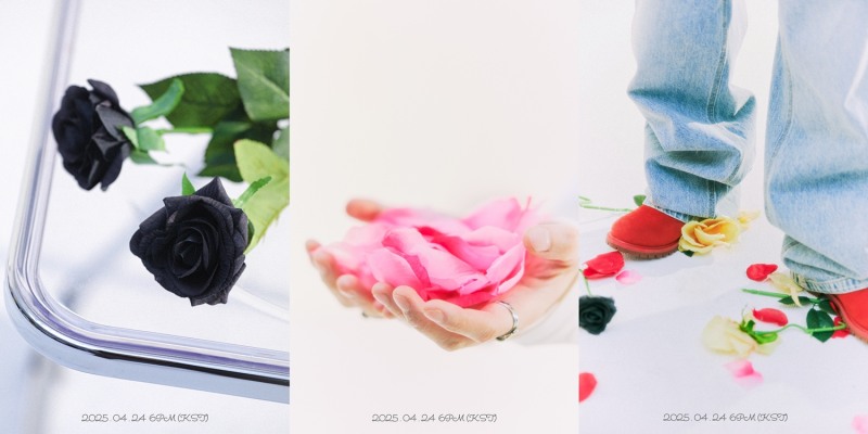 안예은, 24일 미니 5집 '나의 봄이지만 너의 봄일 수도 있지' 발매…스포일러 이미지 공개